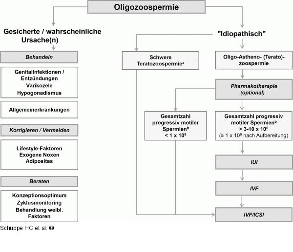 Oligozoospermie