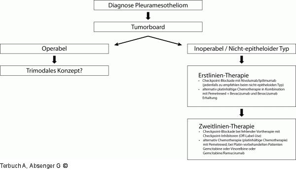 Therapiepfad