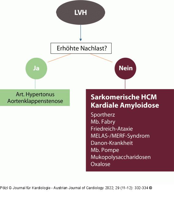 Kardiomyopathie