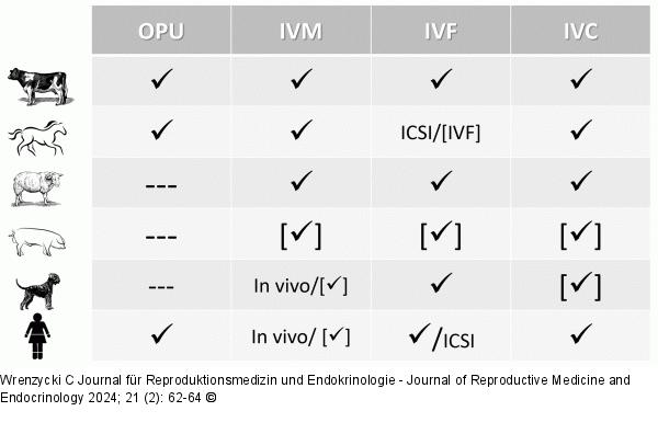 In-vitro-Produktion (IVP)