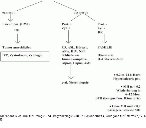 Mikrohämaturie - Leitlinie