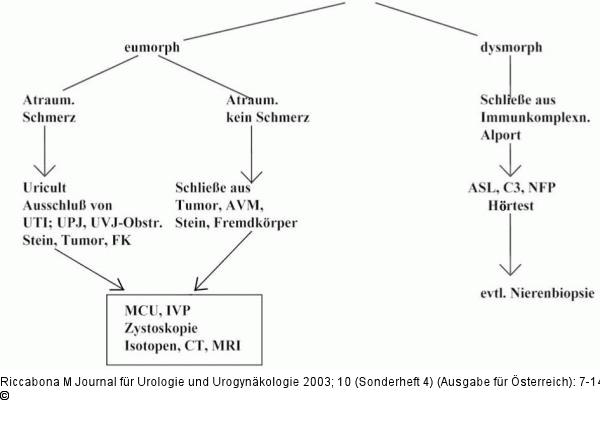 Makrohämaturie - Leitlinie