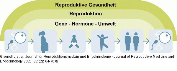 Einflussfaktoren