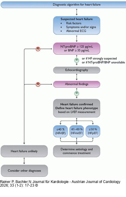 Diagnosealgorithmus