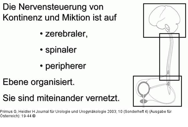 Blasenfunktionsstörung