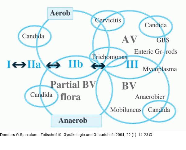 Vaginalflora