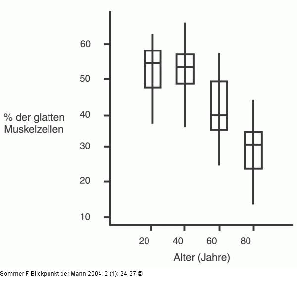 Glatte Muskulatur im Schwellkörper