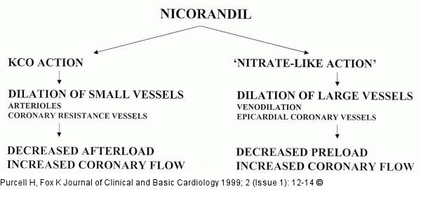 Nicorandil - Wirkmechanismus