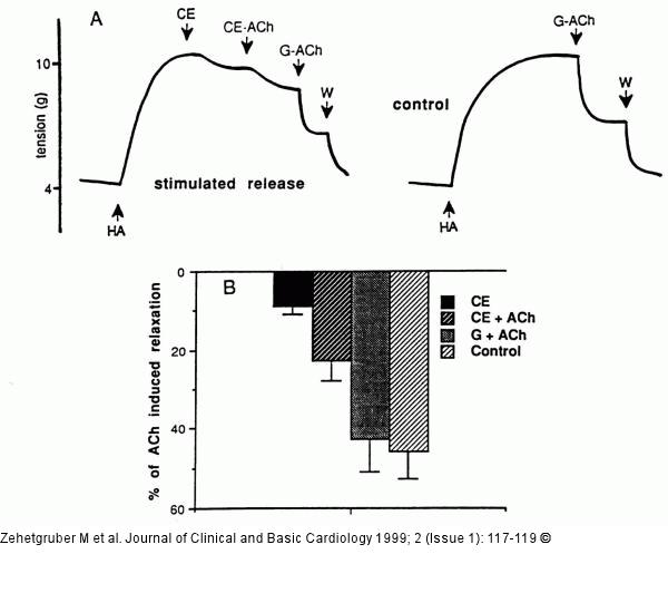 Pulmonalarterie - Relaxation