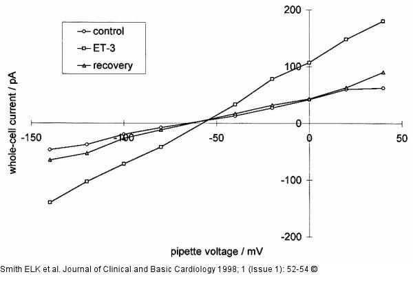 VEGF und ET-3 - Gefäßpermeabilität