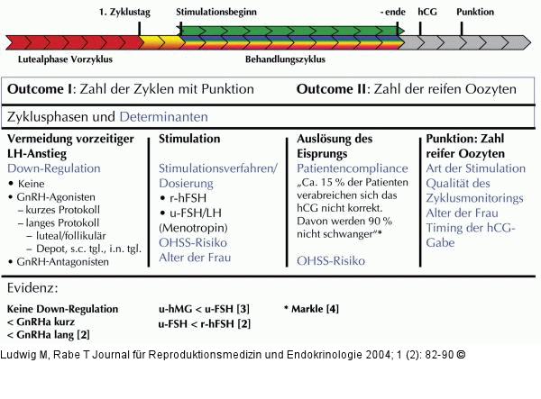IVF-Behandlungsphasen - Outcome