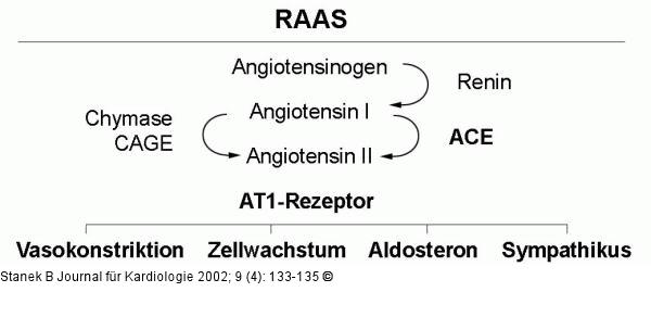Renin-Angiotensin-Aldosteron-System