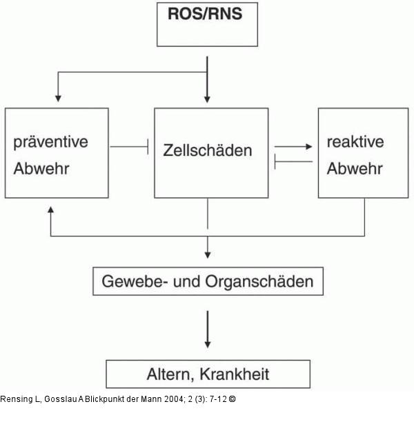 Oxidative Stressoren