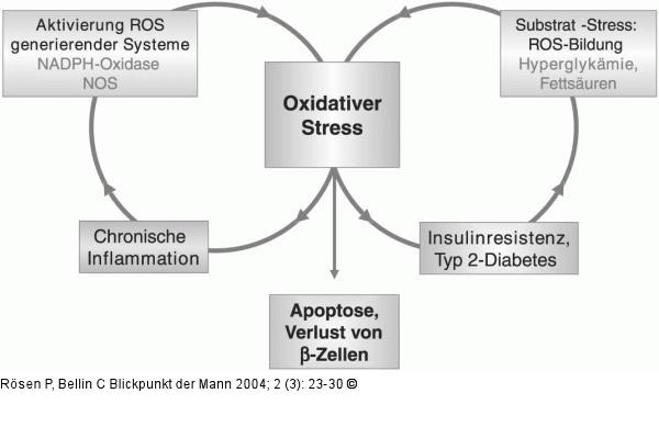ROS-generierende Reaktionen