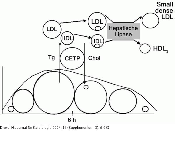CETP - VLDL