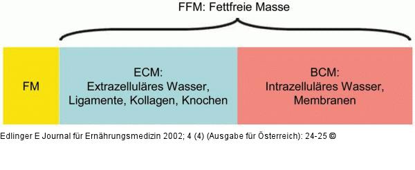 Körper - fettfreie Masse