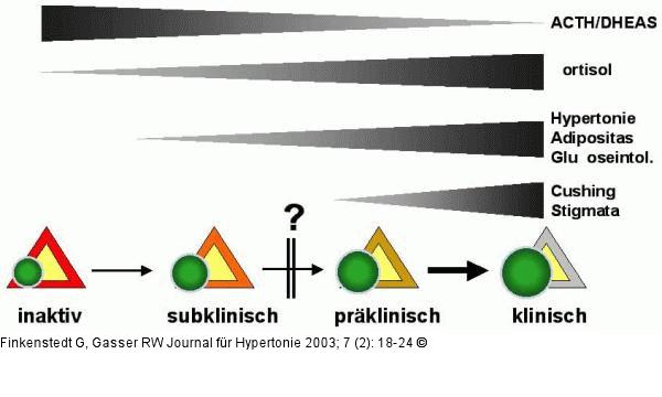 Cushing-Syndrom
