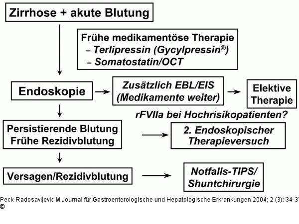 Varizenblutung