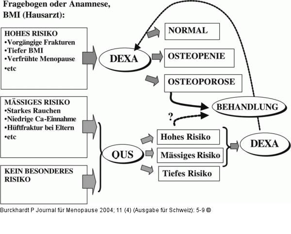 Screening-Strategie