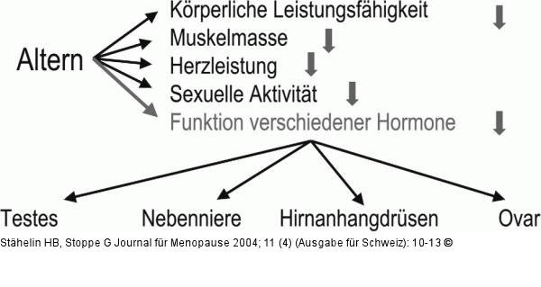 Alter - Hormonale Änderungen