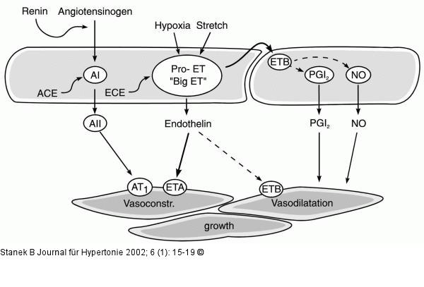 Hypertonie nach Herztransplantation