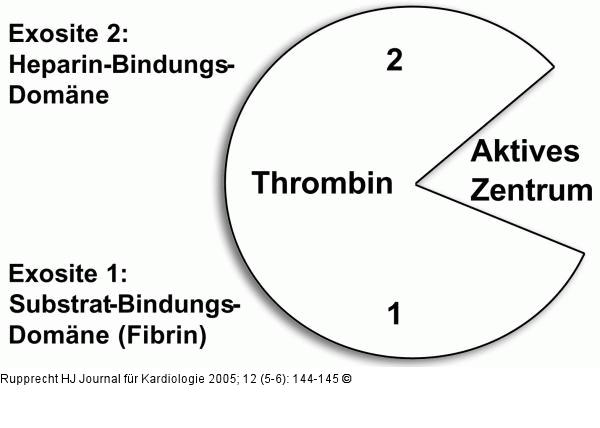 Thrombin-Bindungs-Domänen