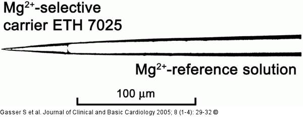 Mg2+-ion-selective microelectrode