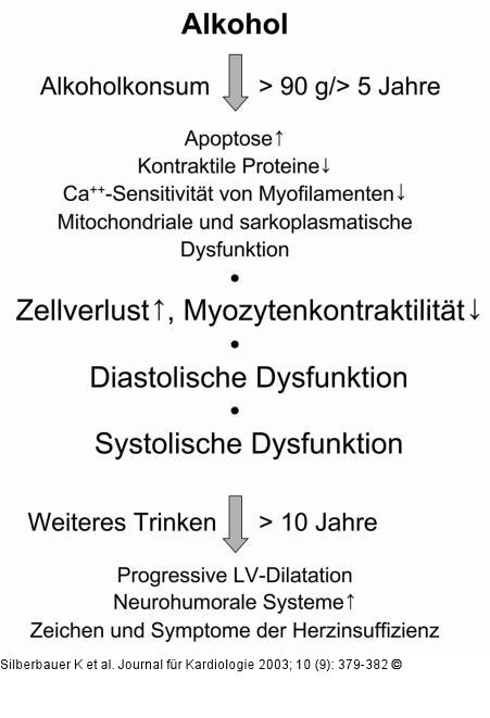 Alkoholische Kardiomyopathie - Pathogenese