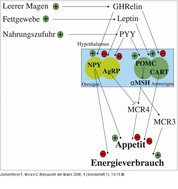 Appetit - Energie