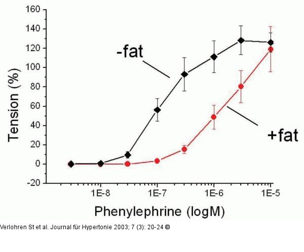 Perivaskuläres Fett - Phenylephrin