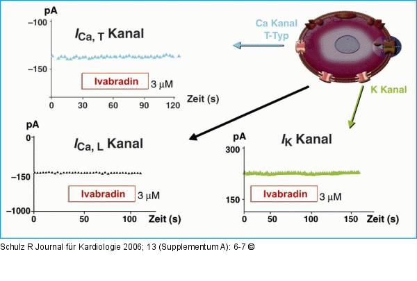 Ivabradin - Ionenkanäle