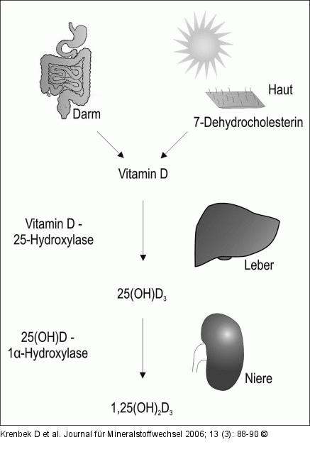 Vitamin D