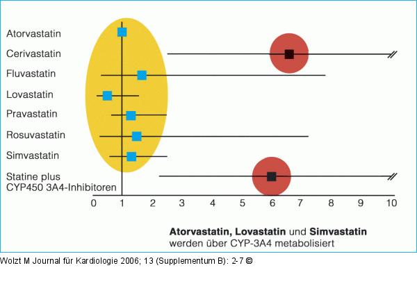 Statin - Muskelschädigung