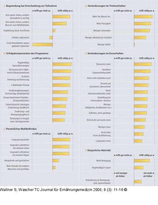 Fragebogen