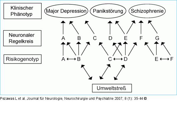 Psychiatrie - Genetik