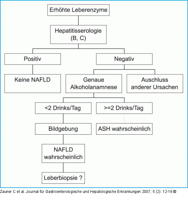 Diagnoseschema einer NAFLD