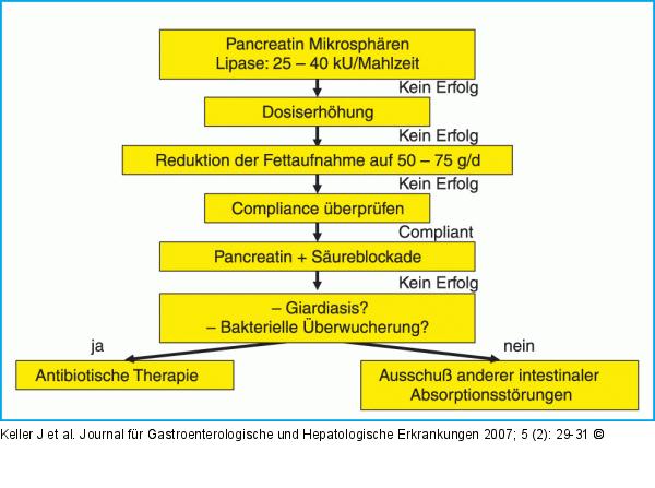 Enzymtherapie bei chronischer Pankreatitis