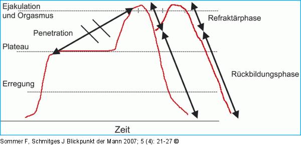 Sexueller Reaktionszyklus - Mann