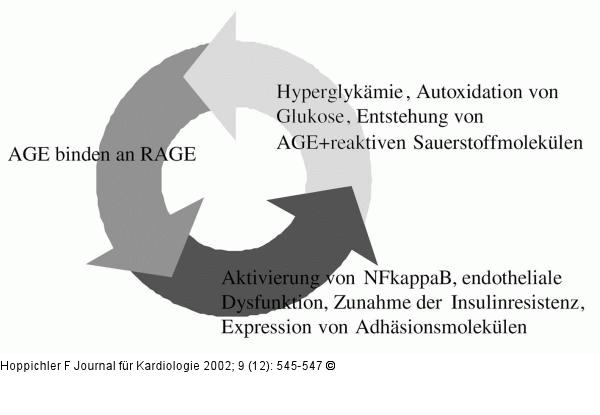 Hyperglykämie - oxidativer Streß - vaskuläres Risiko