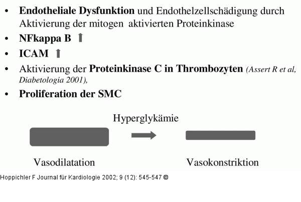 Hyperglykämie - Gefäßrisiko