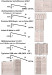 Abb. 24: BQRST-Differentialdiagnostik