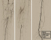 Abb. 6: Morbus embolicus