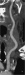 Abb. 7: Arteria carotis