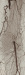 Abb. 1: Arteria poplitea