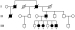 Abb. 2: HCM