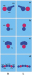Abb. 1: Venensystem - Bein