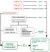 Abb. 5: Intrakranielles Aneurysma - Therapieempfehlung