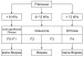 Abb. 1: Fibroscan