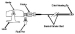 Abb. 1: A. femoralis