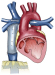 Abb. 1: Fontanoperation